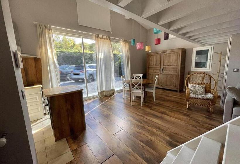 스탠다드 스튜디오, La Singulière