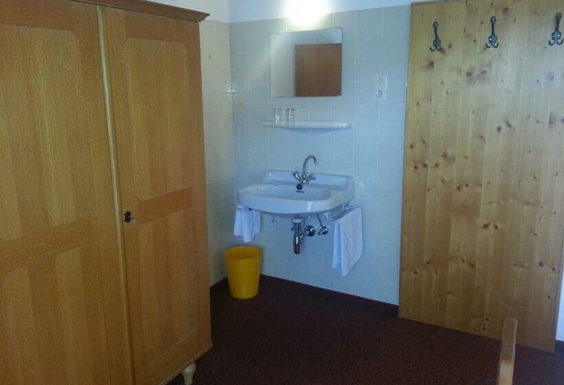 اتاق استاندارد با سرویس بهداشتی مشترک, Haus Karwendelblick