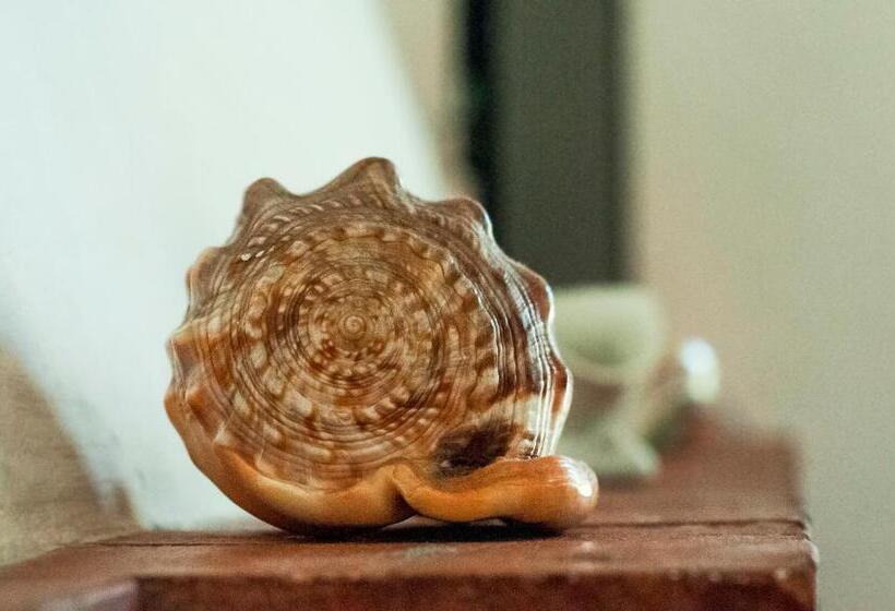 Номер Стандарт, Nonna Vincenza