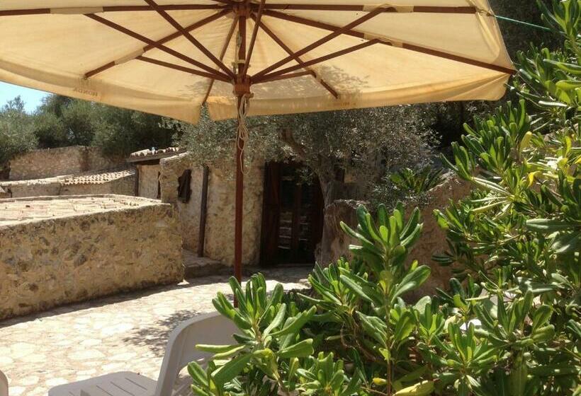 スタンダードルーム, Roba Degli Ulivi