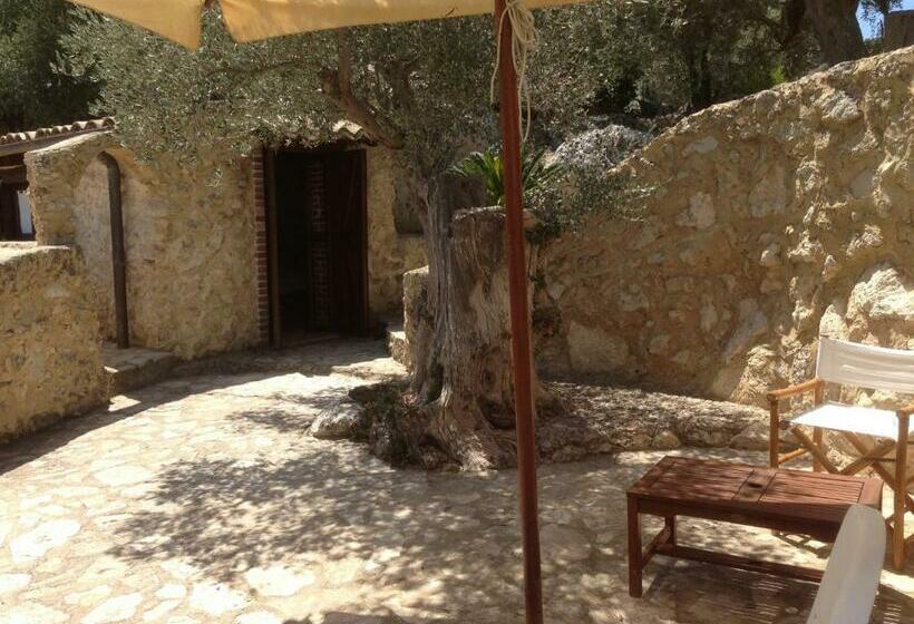 スタンダードルーム, Roba Degli Ulivi