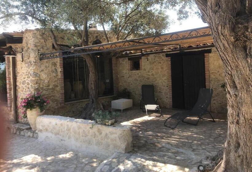 スタンダードルーム, Roba Degli Ulivi