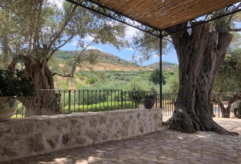 Номер Стандарт, Roba Degli Ulivi