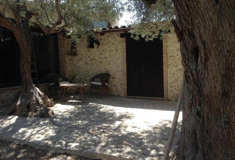 エクゼクティブシングルルーム, Roba Degli Ulivi