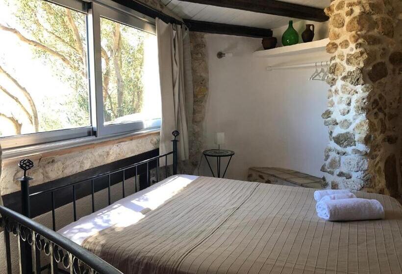 Family Suite, Roba Degli Ulivi