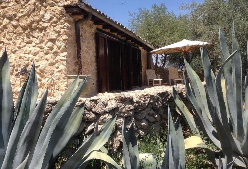 1ベッドルームアパートメントをつなぐ, Roba Degli Ulivi