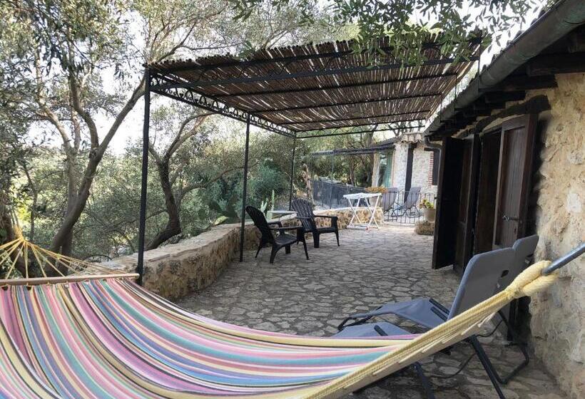 1ベッドルームアパートメントをつなぐ, Roba Degli Ulivi