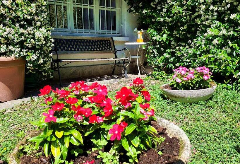 Дом 3 Спальни, Villanuvola