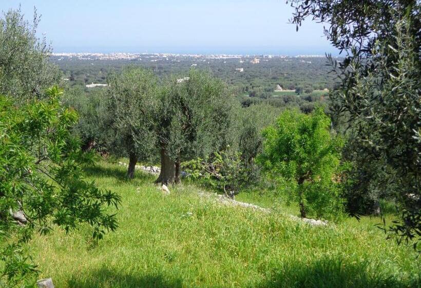 דירת חדר, Alla Panoramica