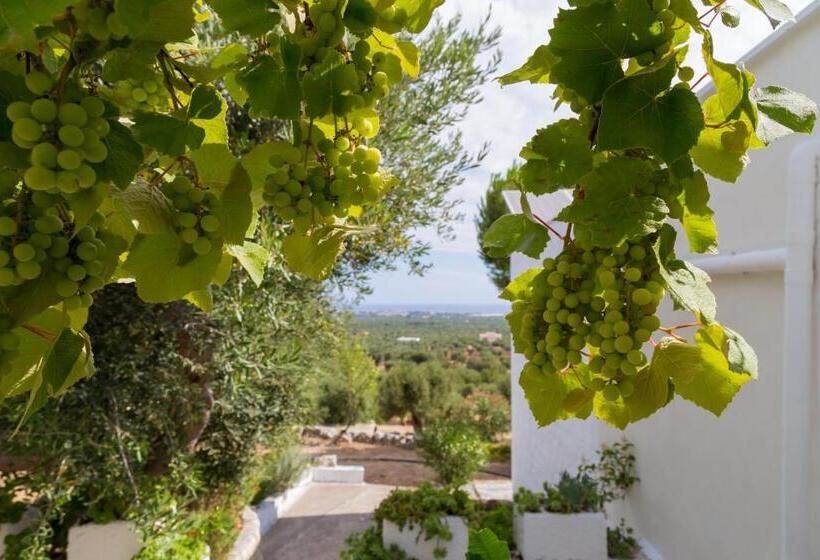 דירת שני חדרים, Alla Panoramica