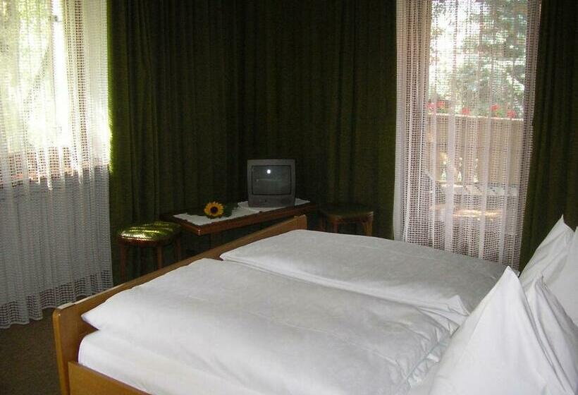 غرفة قياسية مزوَّدة بشُرفة, Burgblick