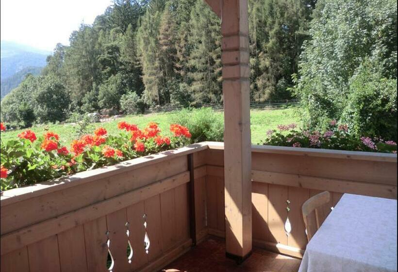 غرفة قياسية مزوَّدة بشُرفة, Burgblick