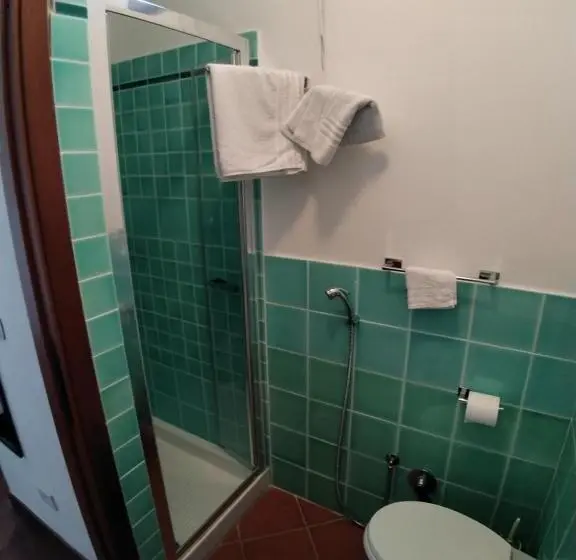 Quarto standart individual, Il Pagio