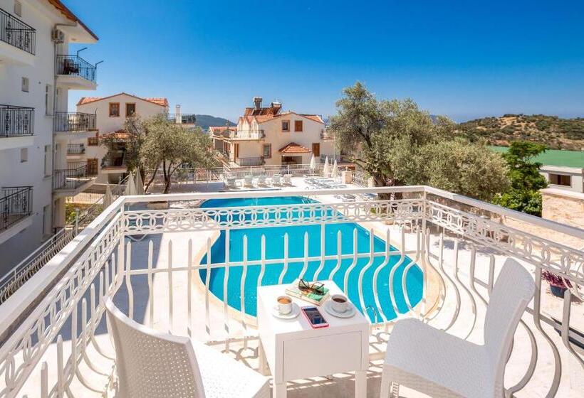 חדר סטנדרט נוף לבריכה, Kas Artemis