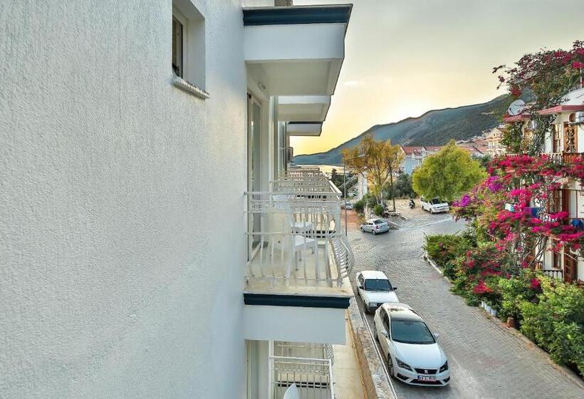 스탠다드 트리플 룸, Kas Artemis