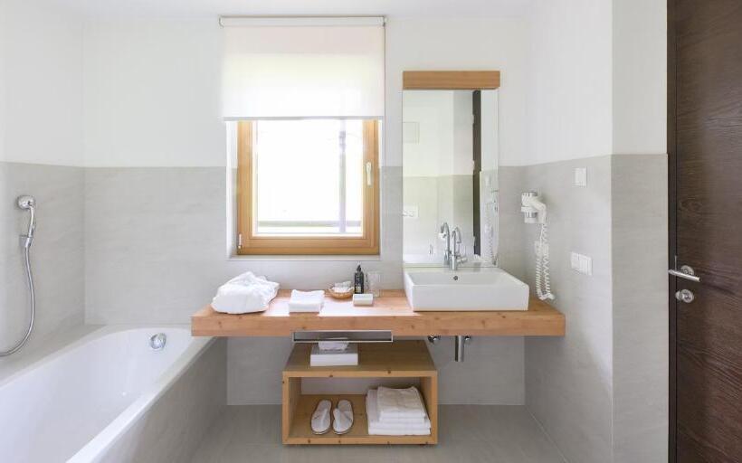 Апартаменты Deluxe 1 Спальня, Saleghes Dolomites Residence