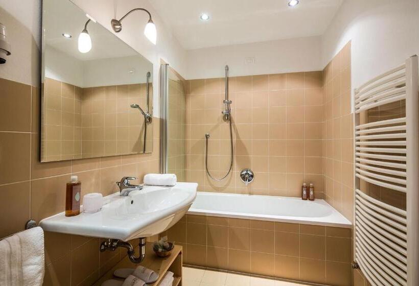 آپارتمان سوپریور 1 خوابه, Saleghes Dolomites Residence