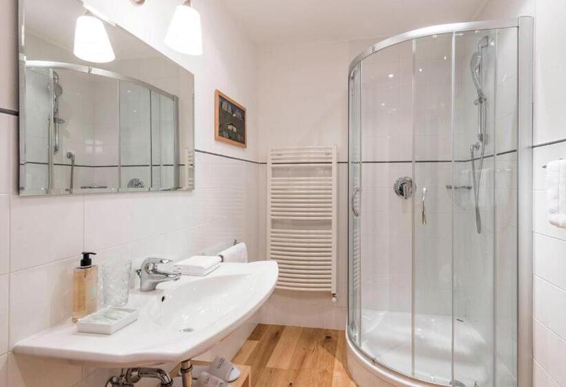 آپارتمان سوپریور 1 خوابه, Saleghes Dolomites Residence