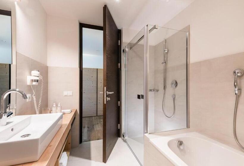 Апартаменты Deluxe 1 Спальня, Saleghes Dolomites Residence