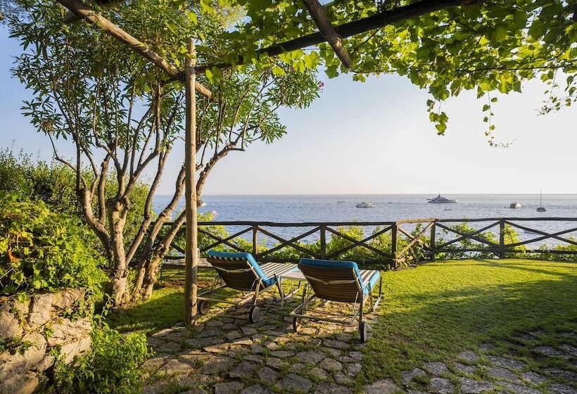 小型套房, Villa Treville