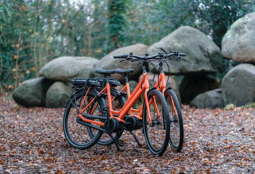 テラス付きスタンダードルーム, Drouwenerzand