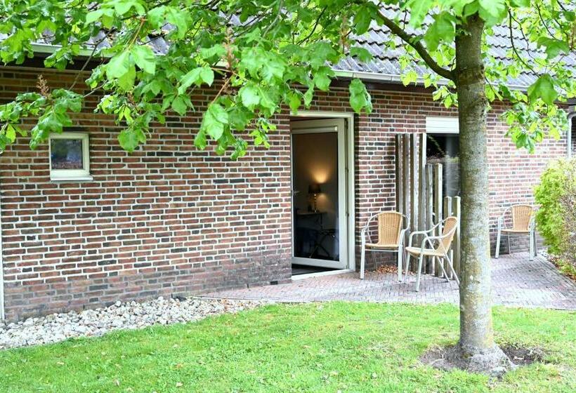 חדר סטנדרט עם טרסה, Drouwenerzand