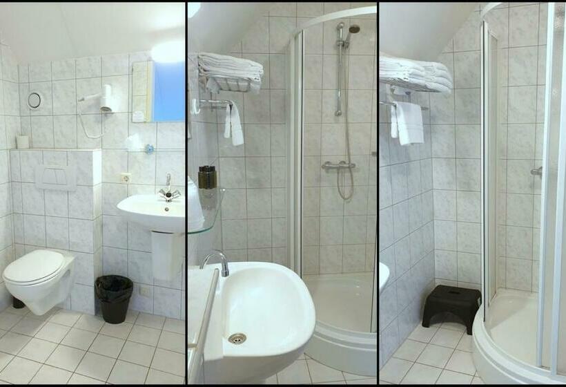 חדר סטנדרט עם טרסה, Drouwenerzand