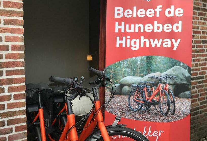 חדר סטנדרט עם טרסה, Drouwenerzand