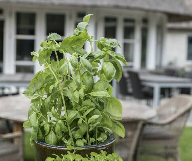 スタンダードルーム, Badehotellet Havgaarden