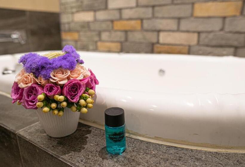 Номер Стандарт с Гидромассажем, Punto Mx