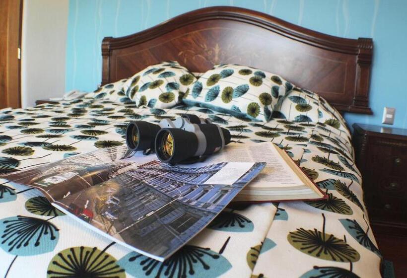 جناح ديلوكس مطل على البحر, Vista Velero