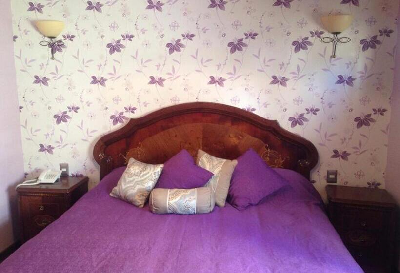 غرفة سوبيريور, Vista Velero