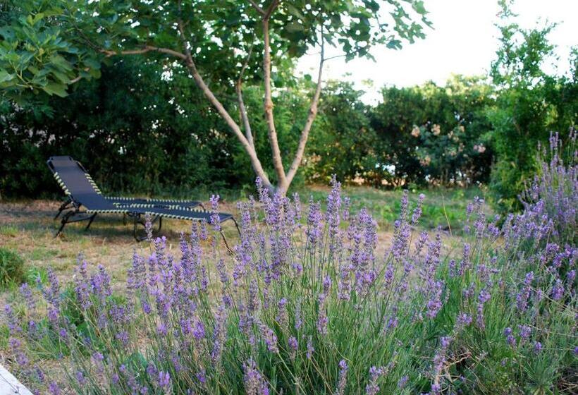 اتاق سه نفره دلوکس با چشم‌انداز دریا, Lokunja Bed&breakfast