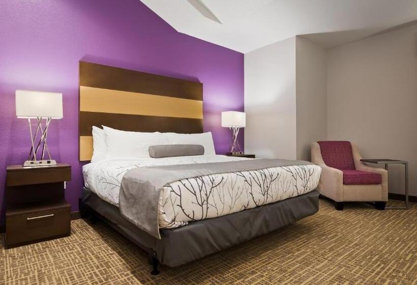 غرفة قياسية سرير كينج, Best Western Plus Buda Austin Inn & Suites