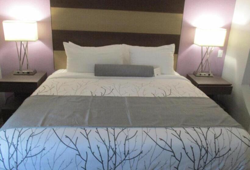 带厨房的标准房间, Best Western Plus Buda Austin Inn & Suites
