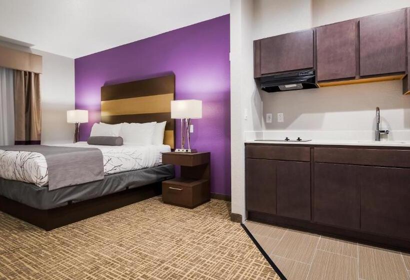 غرفة قياسية مزوَّدة بمطبخ, Best Western Plus Buda Austin Inn & Suites
