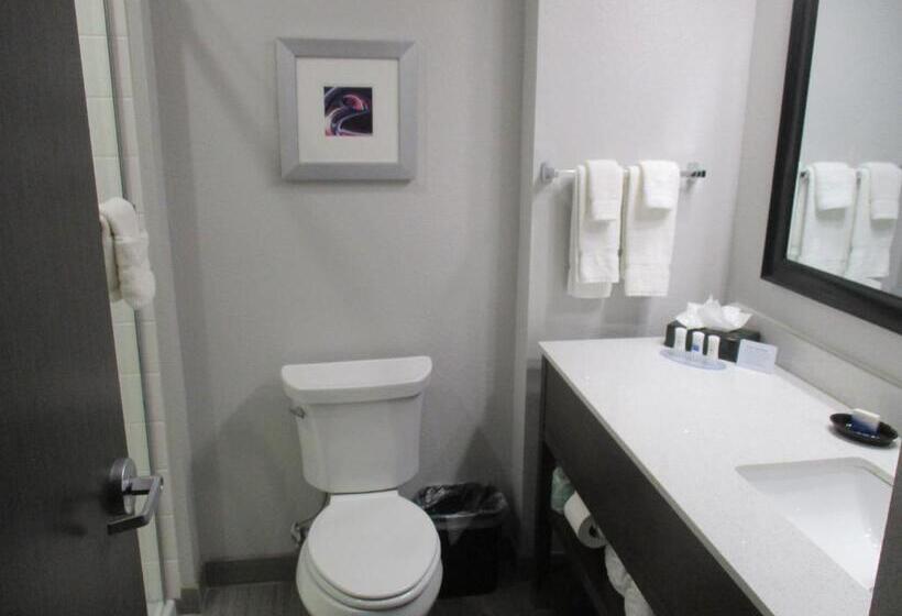 جناح سرير كينج, Best Western Plus Buda Austin Inn & Suites