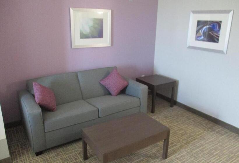 جناح سرير كينج, Best Western Plus Buda Austin Inn & Suites
