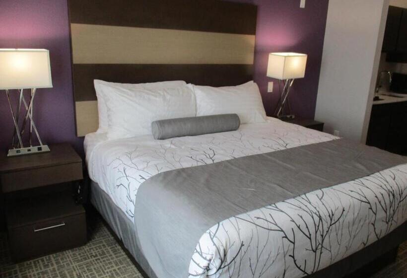 带大床的套房, Best Western Plus Buda Austin Inn & Suites
