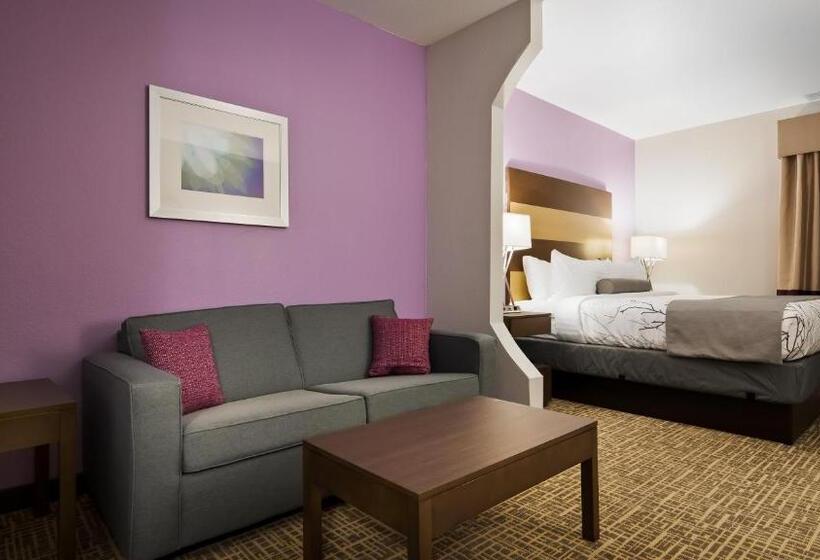 جناح سرير كينج, Best Western Plus Buda Austin Inn & Suites