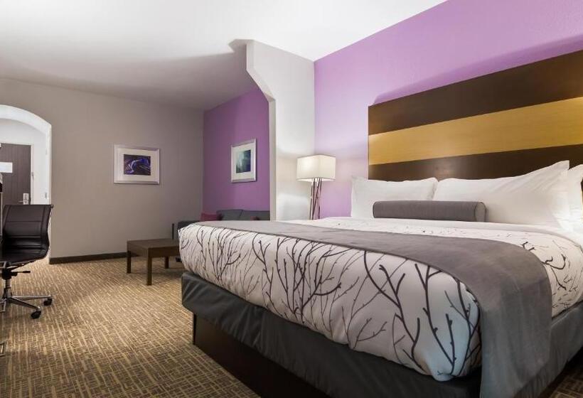 جناح سرير كينج, Best Western Plus Buda Austin Inn & Suites