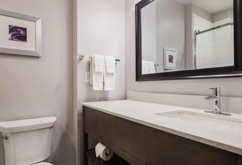 带大床的套房, Best Western Plus Buda Austin Inn & Suites