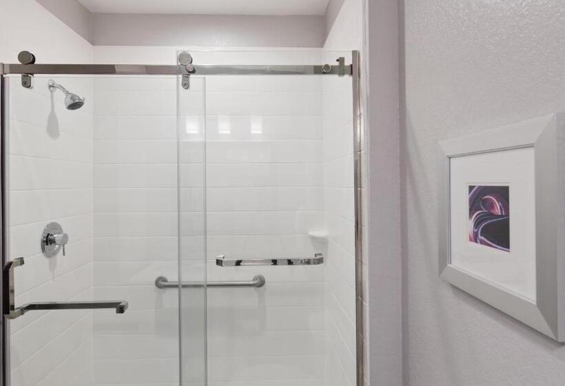 适合残疾人士使用的带超级大床的标准间, Best Western Plus Buda Austin Inn & Suites