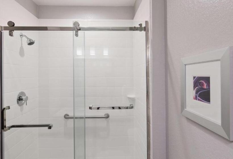 غرفة قياسية سرير كينج لذوى الإحتياجات الخاصة, Best Western Plus Buda Austin Inn & Suites