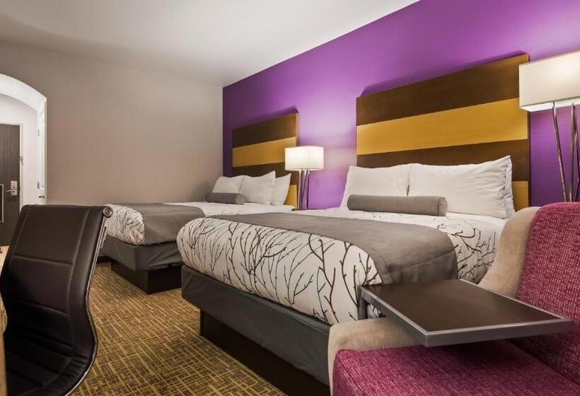 适合残疾人使用的标准间, Best Western Plus Buda Austin Inn & Suites