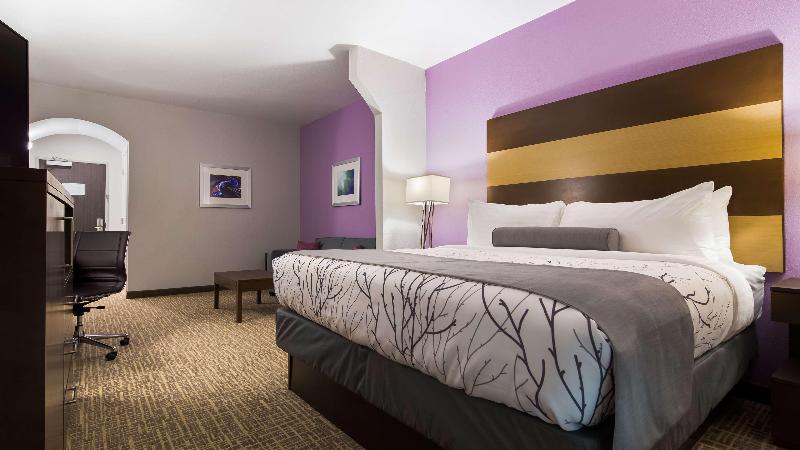 جناح سرير كينج, Best Western Plus Buda Austin Inn & Suites
