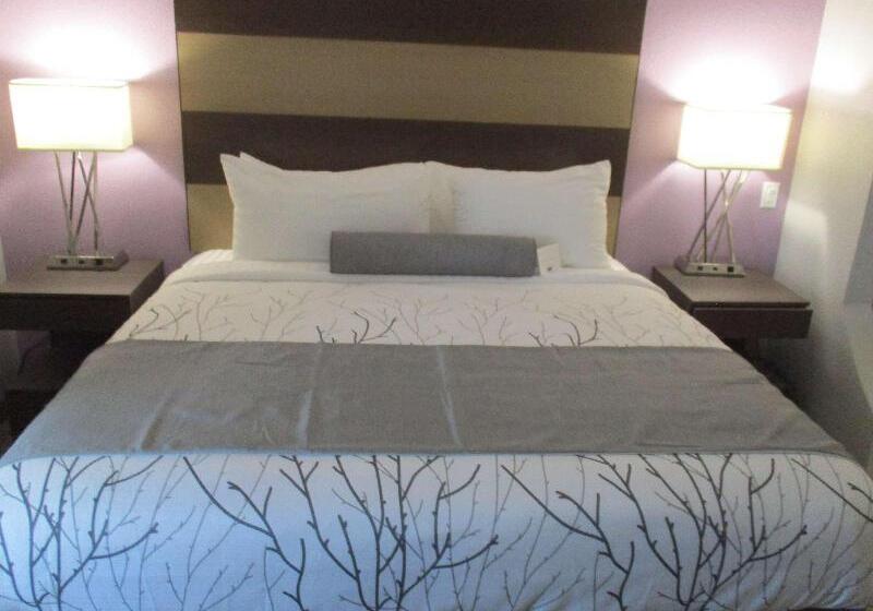 带大床的套房, Best Western Plus Buda Austin Inn & Suites