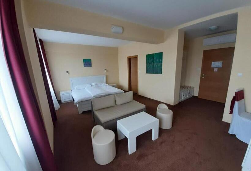 غرفة قياسية, Garić