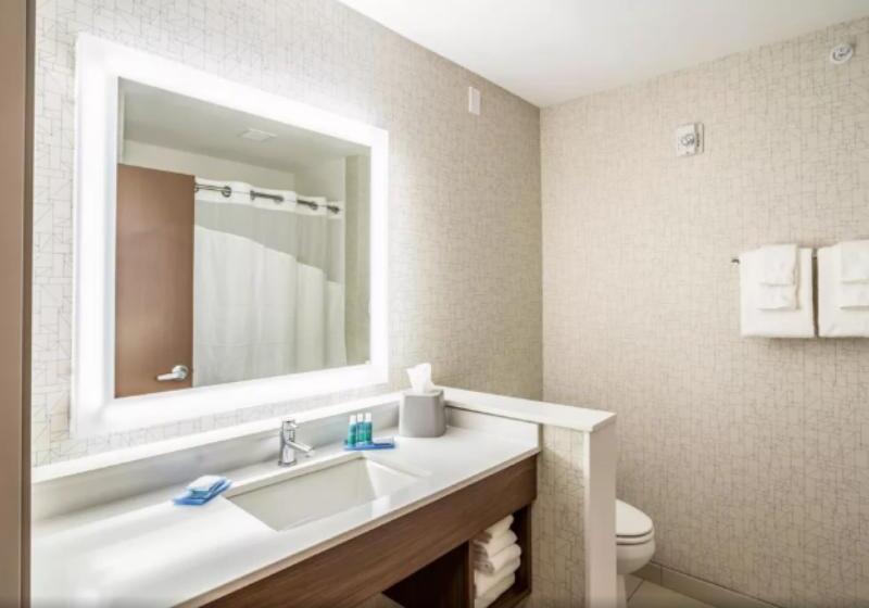 غرفة قياسية لذوى الاحتياجات الخاصة, Holiday Inn Express & Suites Platteville, An Ihg