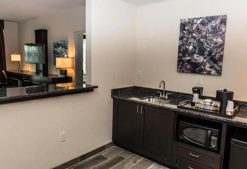 جناح سرير كينج, Holiday Inn Paducah Riverfront, An Ihg